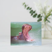 Carte postale ouverte Hippo Mouth (Debout devant)