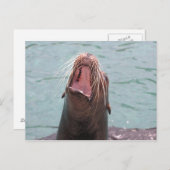 Carte postale ouverte Sea Lion Mouth (Devant / Derrière)
