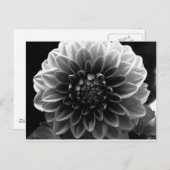 Carte Postale Ouverture De Tous Les Calques (Devant / Derrière)