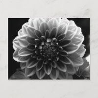 Ouverture De Tous Les Calques