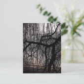 CARTE POSTALE OUVRIR DES ARBRES SAUVAGES (Debout devant)