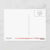 Carte Postale Ouvrir la fenêtre (Dos)