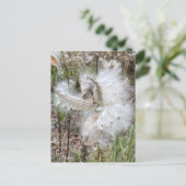 Carte Postale Ouvrir les pots d'algues | Graines avec soie | (Debout devant)