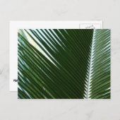 Carte Postale Overlapping Palm Fronds Tropical Green Abstract (Devant / Derrière)