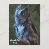 Carte postale Owl (Devant)