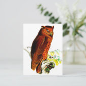 Carte postale Owl (Debout devant)