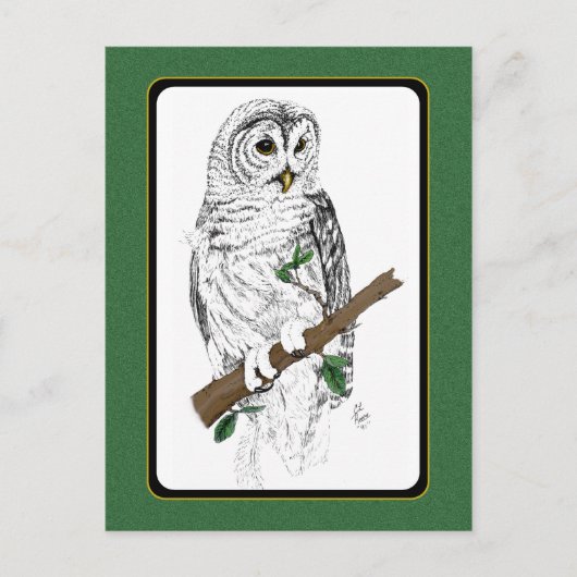 Carte postale Owl 3 (Devant)