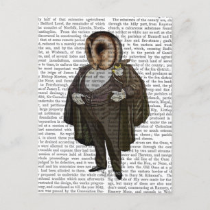 Carte Postale Owl à l'opéra