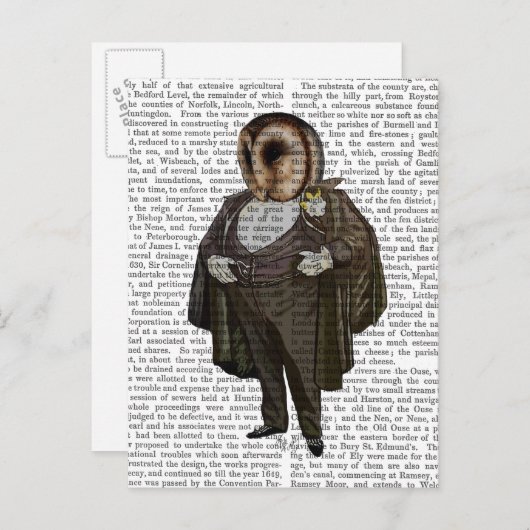 Carte Postale Owl à l'opéra (Devant / Derrière)