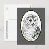 Carte postale Owl Cameo (Devant / Derrière)