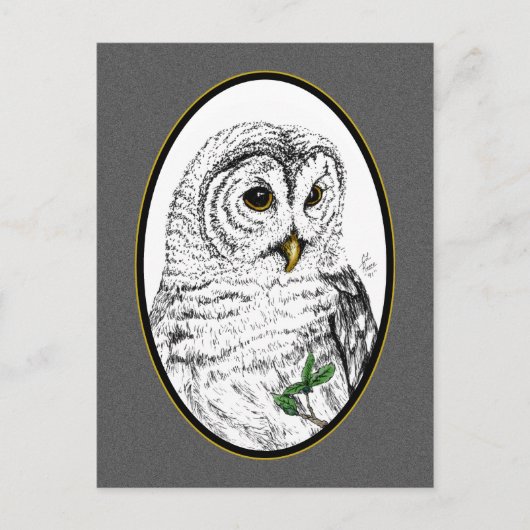 Carte postale Owl Cameo (Devant)