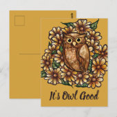 Carte Postale Owl daisies                                        (Devant / Derrière)