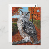 Carte Postale Owl in Autumn forest fine art (Devant / Derrière)