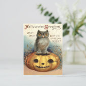 Carte Postale Owl Jack O Lantern Pumpkin (Debout devant)