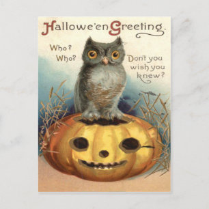 Carte Postale Owl Jack O Lantern Pumpkin