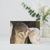 Carte Postale Owl Kisses ! (Debout devant)