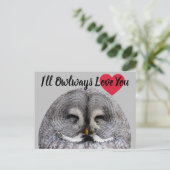 Carte Postale Owl Love Valentine (Debout devant)