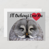 Carte Postale Owl Love Valentine (Devant / Derrière)