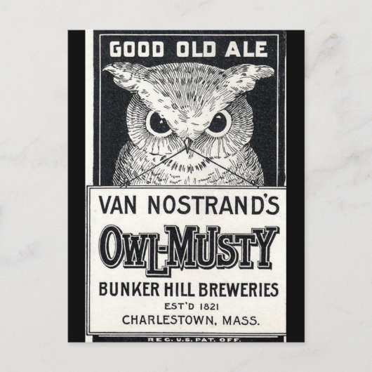 Carte postale Owl-Musty Ale Beer (Devant)