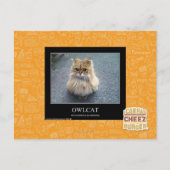 Carte Postale Owlcat (Devant)