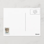 Carte postale Owlie (Dos)