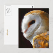 CARTE POSTALE OWLS (Devant / Derrière)