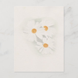 Carte Postale Ox oeil marguerite