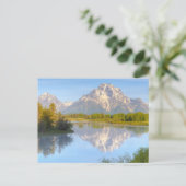 Carte Postale Oxbow Bend (Debout devant)