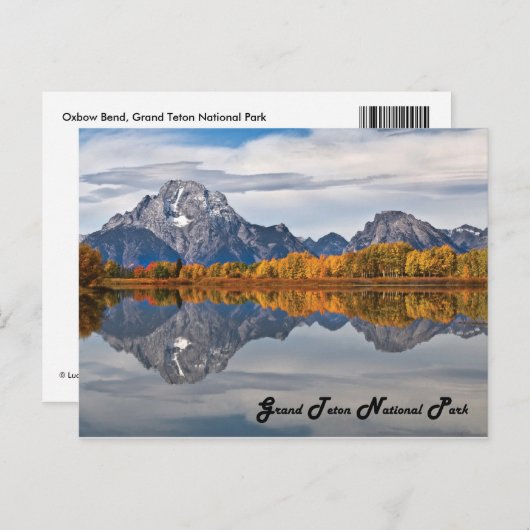 Carte Postale Oxbox Bend en automne (Devant / Derrière)