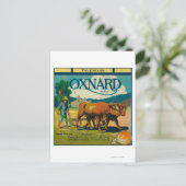 Carte Postale Oxnard Orange LabelOxnard, CA (Debout devant)