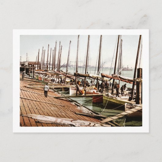 Carte Postale Oyster Smacks au Levee New Orleans 1900 (Devant)