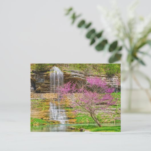 Carte Postale Ozarks Waterfall Spring Bluff (Debout devant)