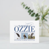 Carte postale Ozzie (Debout devant)