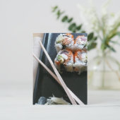 CARTE POSTALE P1010105 (Debout devant)