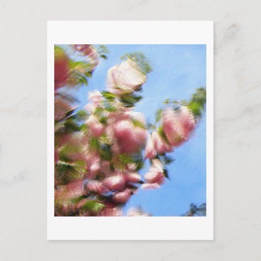 CARTE POSTALE P4240442 (Devant)