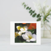 CARTE POSTALE P4290105 (Debout devant)