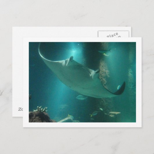 CARTE POSTALE P6250309 (Devant / Derrière)