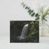 Carte Postale P8140044, Chutes Minnehaha (Debout devant)