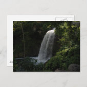 Carte Postale P8140044, Chutes Minnehaha (Devant / Derrière)