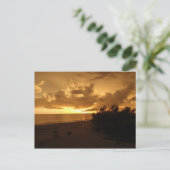 CARTE POSTALE P8190542 (Debout devant)