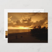 CARTE POSTALE P8190542 (Devant / Derrière)