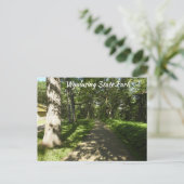 Carte postale P du parc d'État Wyalusing (Debout devant)