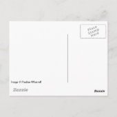 Carte Postale © P Wherrell Cute chaton gris poil long (Dos)