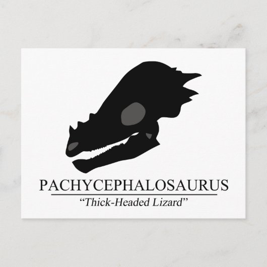 Carte Postale Pachycéphalosaure (Devant)