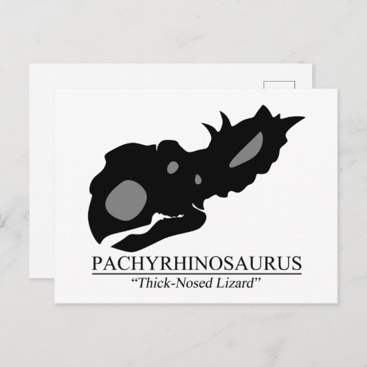 Carte Postale Pachyrhinosaurus (Devant / Derrière)