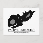 Carte Postale Pachyrhinosaurus (Devant)