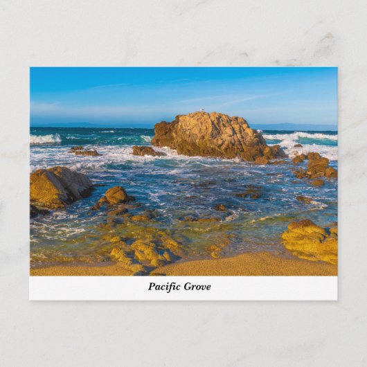 Carte postale Pacific Grove (Devant)