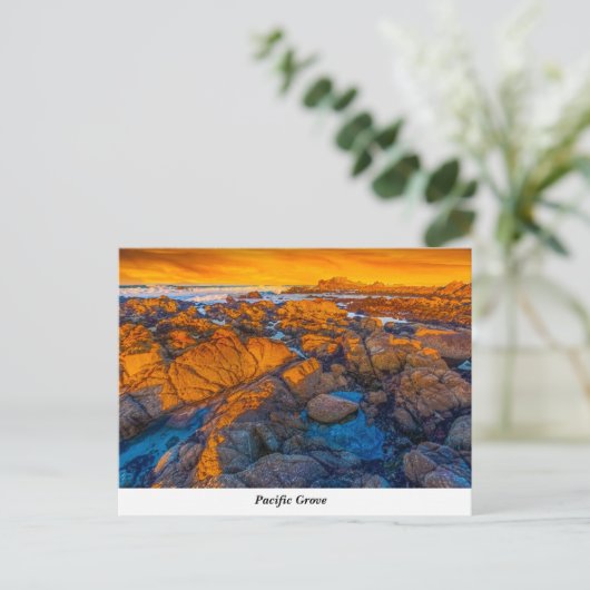 Carte postale Pacific Grove (Debout devant)