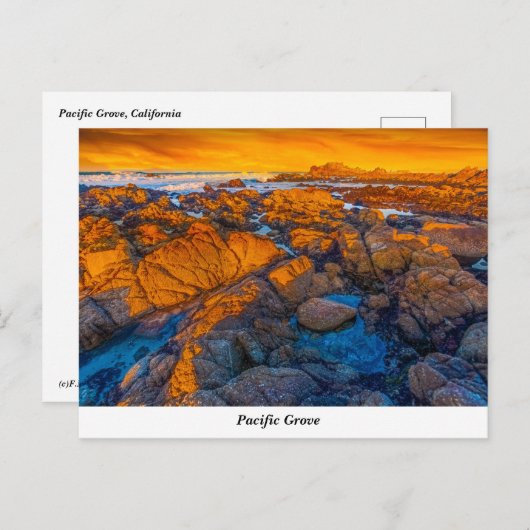 Carte postale Pacific Grove (Devant / Derrière)