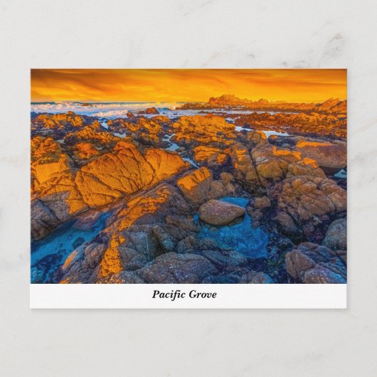 Carte postale Pacific Grove (Devant)